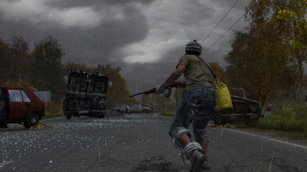 图片[2]-【最新整合版】DayZ 中文完整版｜生存模组大全｜全 DLC 预购特典｜解压即玩-Game Hub